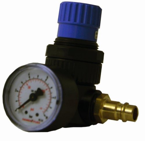 Pressure regulator for pump 