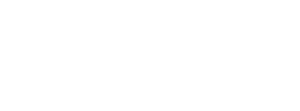 DKS Logo